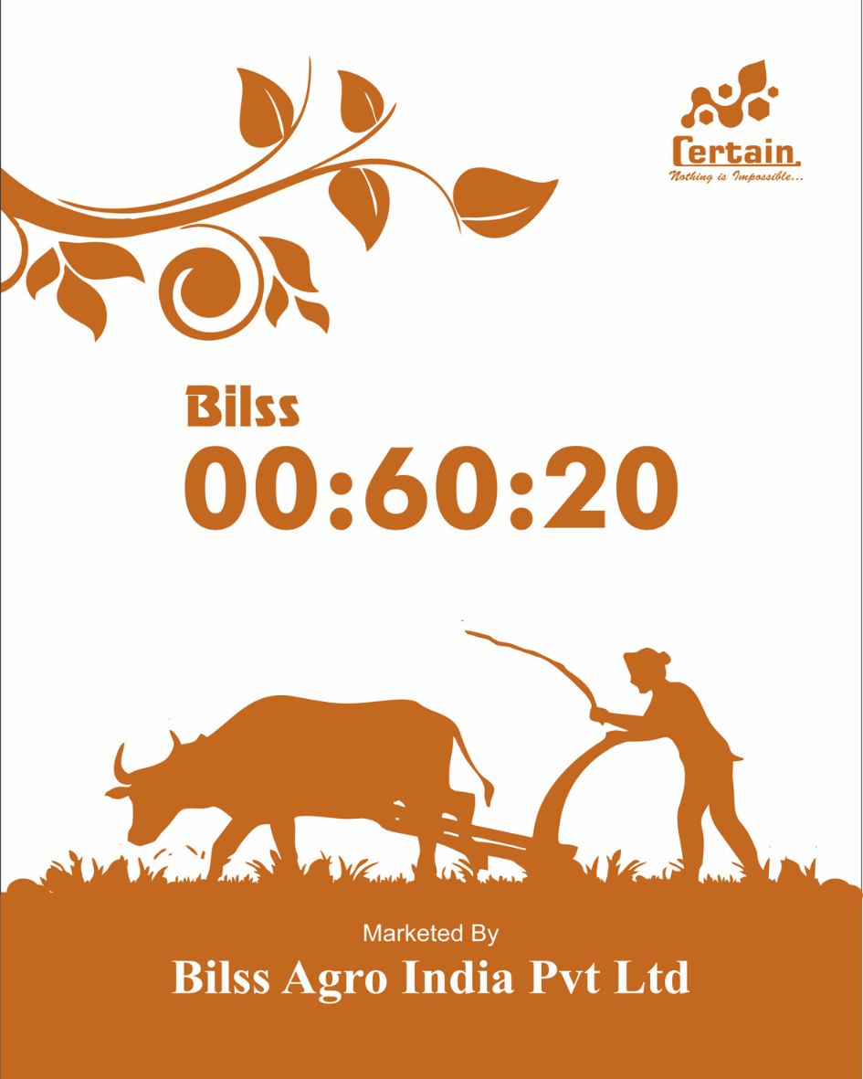 Bilss 00:60:20